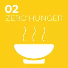 sdg-2